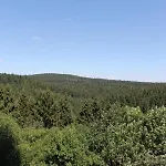 Panoramic