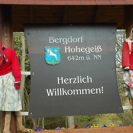 Panoramic Hohegeiß