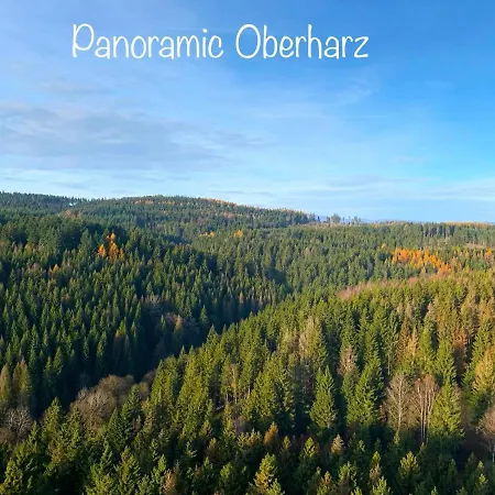 Panoramic *