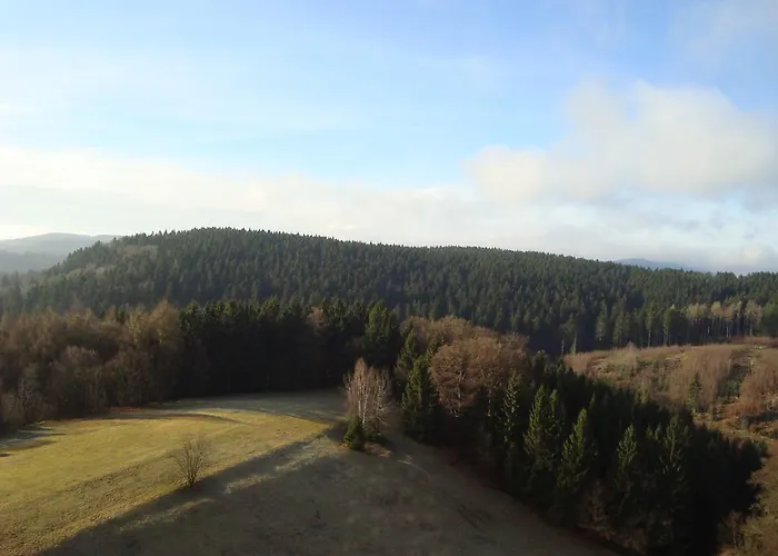 Panoramic Daire Hohegeiß